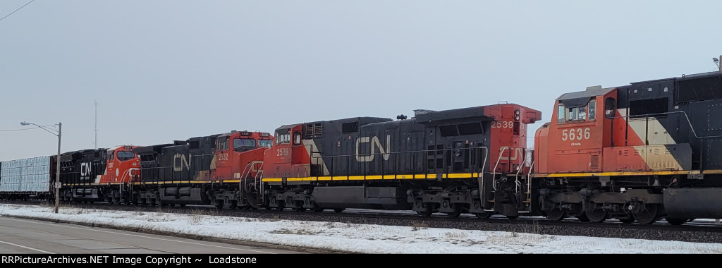 CN 2532 CN 2539 CN 5636